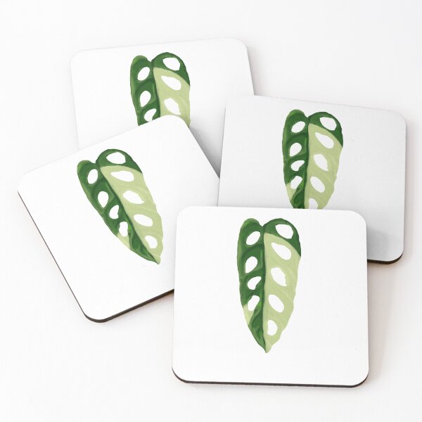 Item preview,  Monstera Adansonii Variegata designed and sold by Alin Richard Iovănuț.