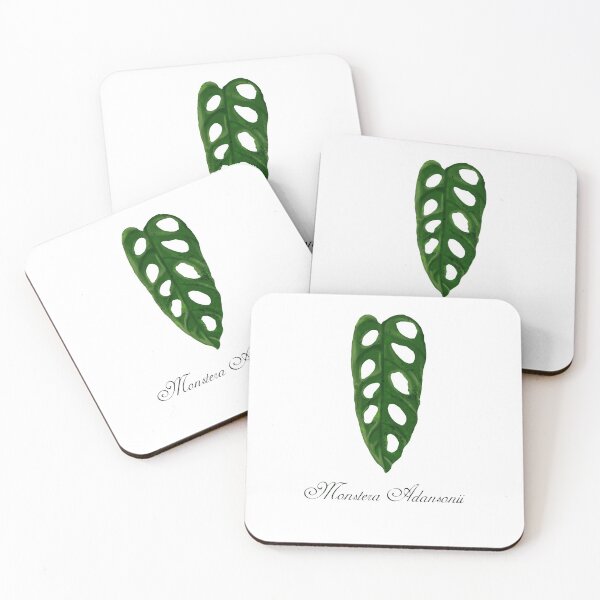 Item preview, Monstera Adansonii designed and sold by Alin Richard Iovănuț.