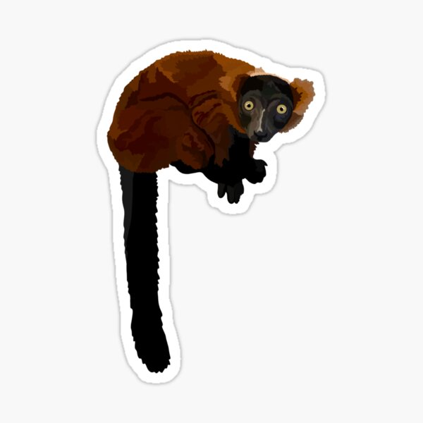 Item preview, R is for Red Ruffed Lemur,Red Ruffed Lemur Artwork – Vibrant Primate Illustration and Madagascar Wildlife Design designed and sold by PrettylittlepastelUk.