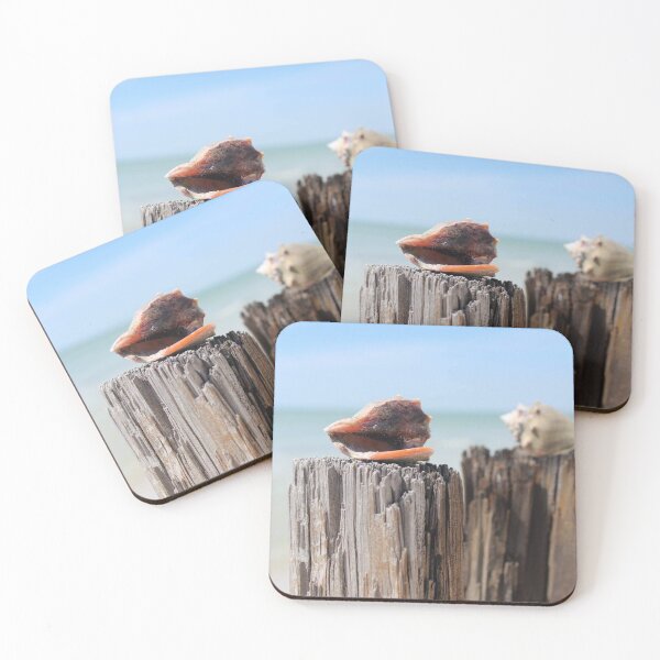 Item preview, Shells designed and sold by gilly3.