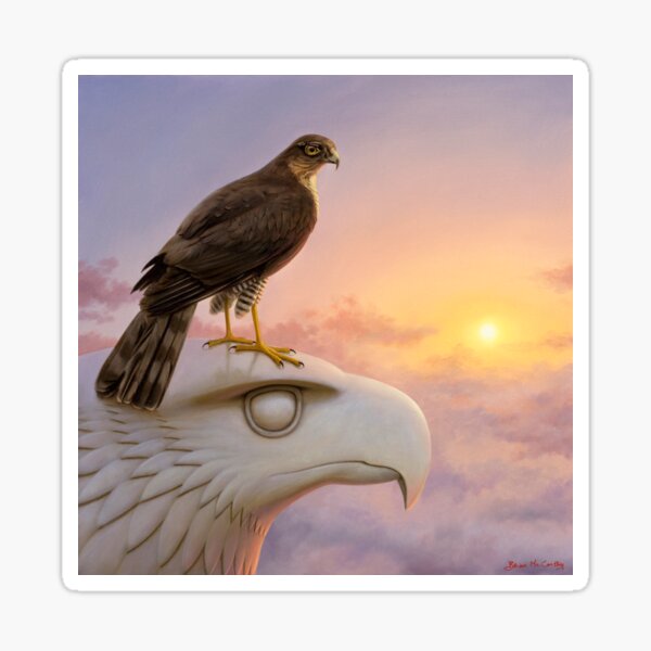 Sparrowhawk Sticker