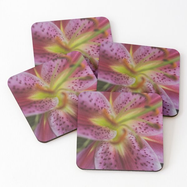 Item preview, Tropical flower designed and sold by fotorealo.