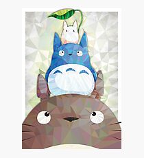 TOTORO FAIRYLAND Photographic Print