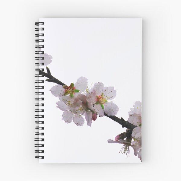 Item preview, Blossom. designed and sold by Paul Pasco.