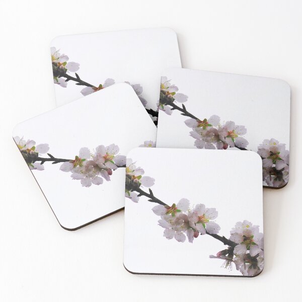 Item preview, Blossom. designed and sold by Paul Pasco.