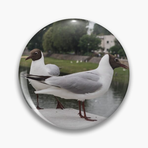 Item preview, Seagulls designed and sold by RavenneArt.