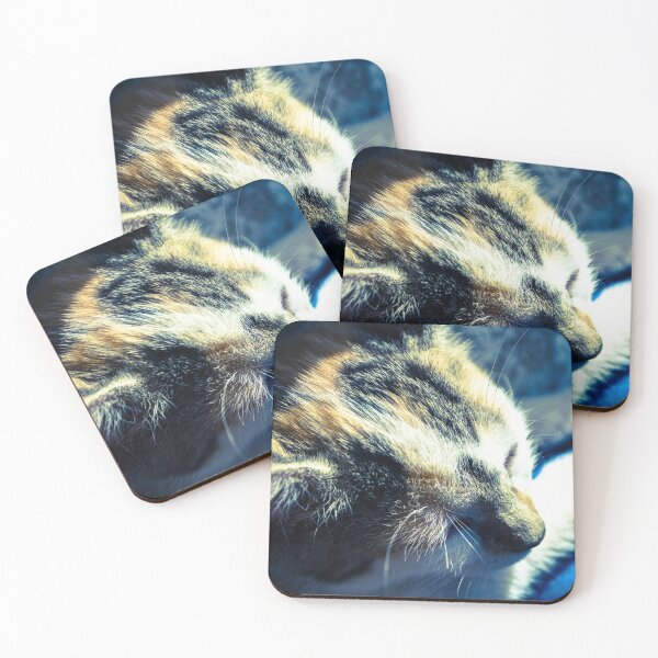 Item preview, Kitteh designed and sold by RavenneArt.