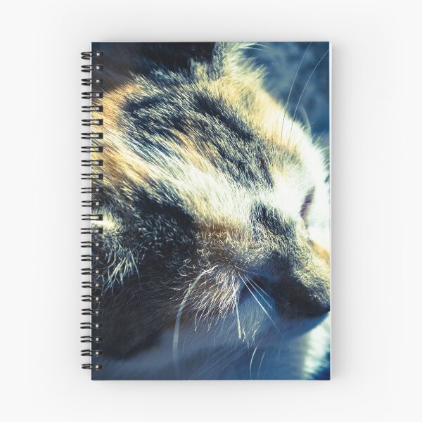 Item preview, Kitteh designed and sold by RavenneArt.