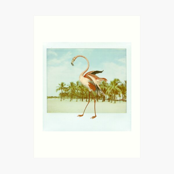 Flamingo Art Print