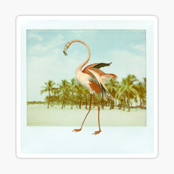 Flamingo Sticker