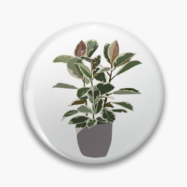 Item preview, Rubber Tree Houseplant designed and sold by cheyenne-leigh.