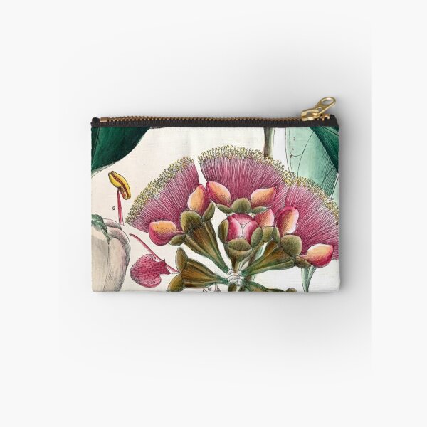 Item preview, malay apple botanical illustration designed and sold by Yviemakes.
