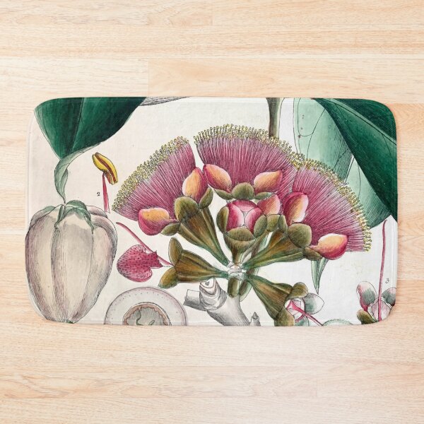 Item preview, malay apple botanical illustration designed and sold by Yviemakes.