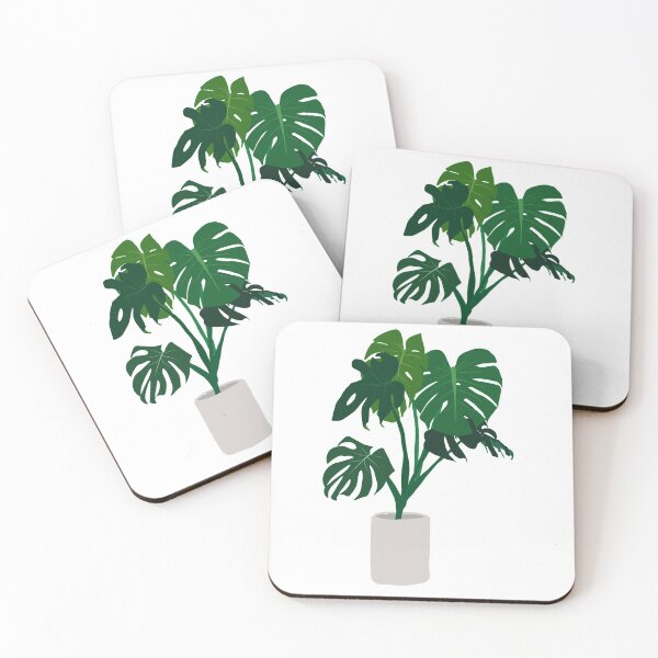 Item preview, Monstera Swiss Cheese Houseplant designed and sold by cheyenne-leigh.
