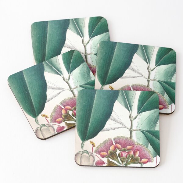 Item preview, malay apple botanical illustration designed and sold by Yviemakes.