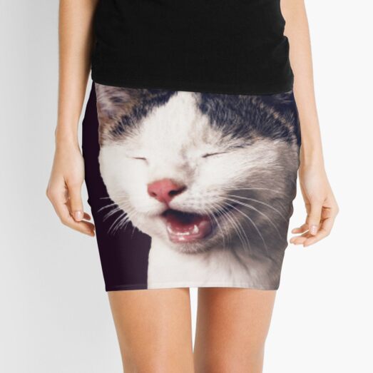 Minijupes Sur Le Theme Chat Rire Redbubble