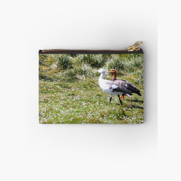 Item preview, Fauna, islas Falkland. designed and sold by cieloverde.