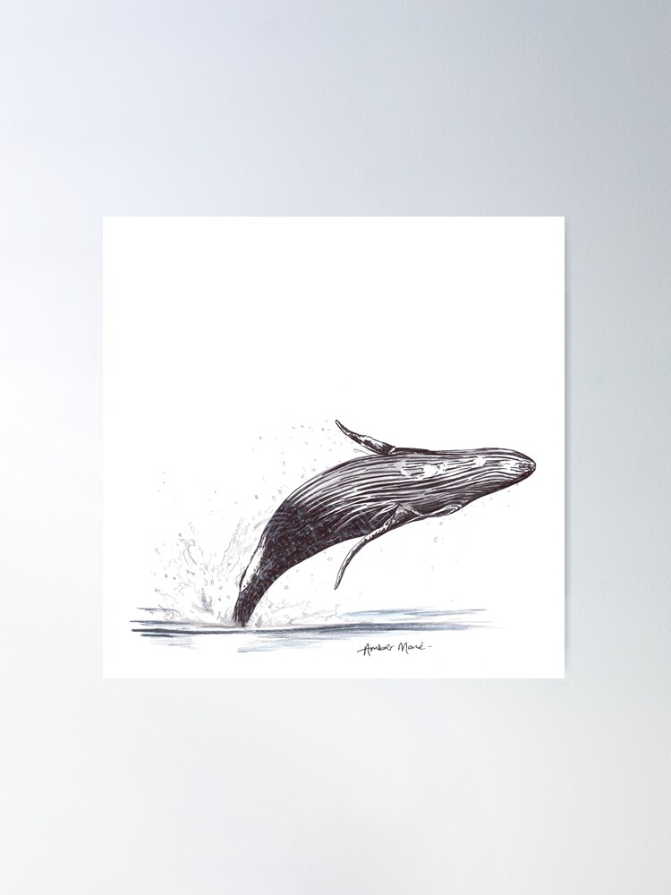 Humpback Whale - Marine Sea Life Poster for Sale by Amber Westwood