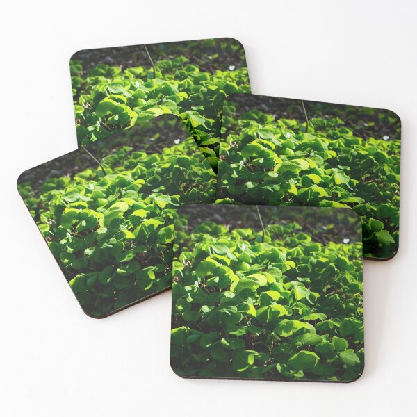 Item preview, Clovers designed and sold by RavenneArt.