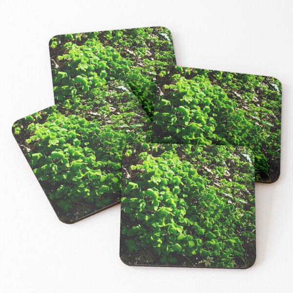 Item preview, Clovers designed and sold by RavenneArt.