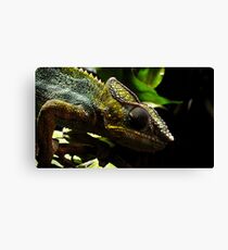 Panther Chameleon Canvas Print