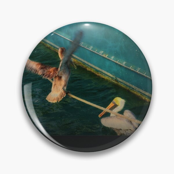 Item preview, Pelicans On Parade - Study II  designed and sold by BritishYank.