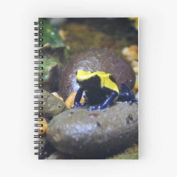 Item preview, Rock Hopping Frog designed and sold by Cynthia48.