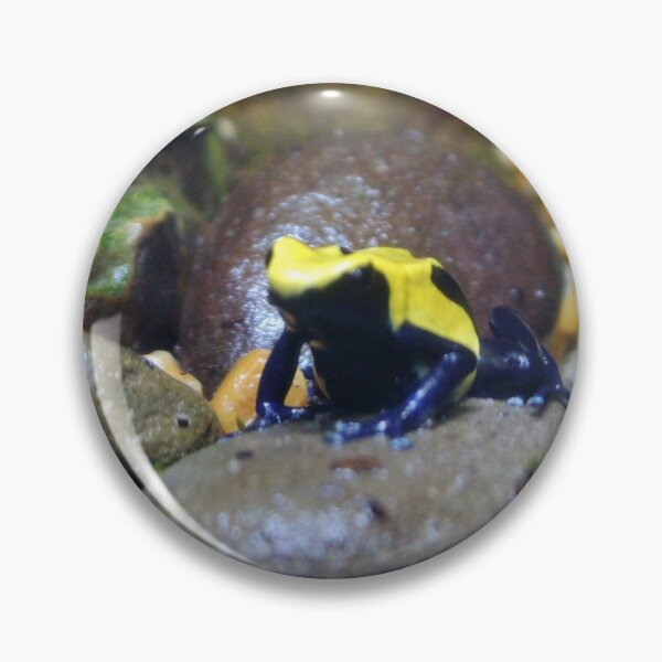 Item preview, Rock Hopping Frog designed and sold by Cynthia48.