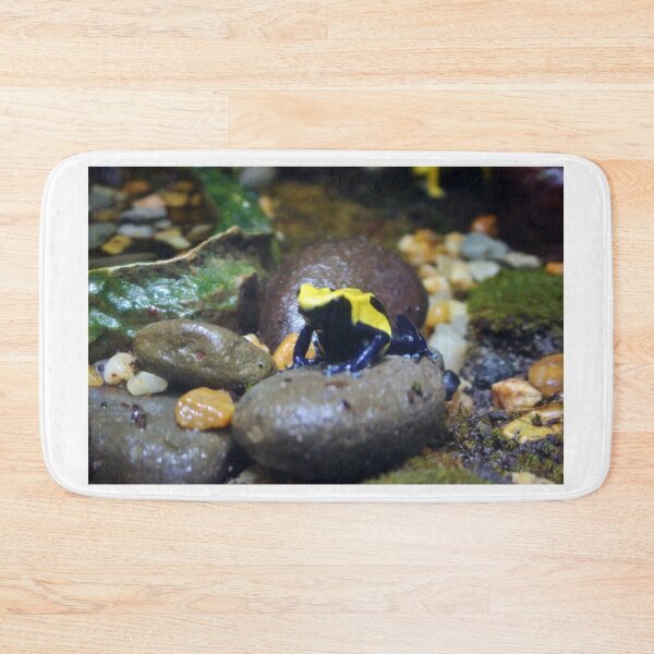 Item preview, Rock Hopping Frog designed and sold by Cynthia48.