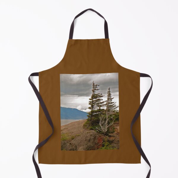Item preview, Alaskan Landscape designed and sold by Anthony Macaluso.
