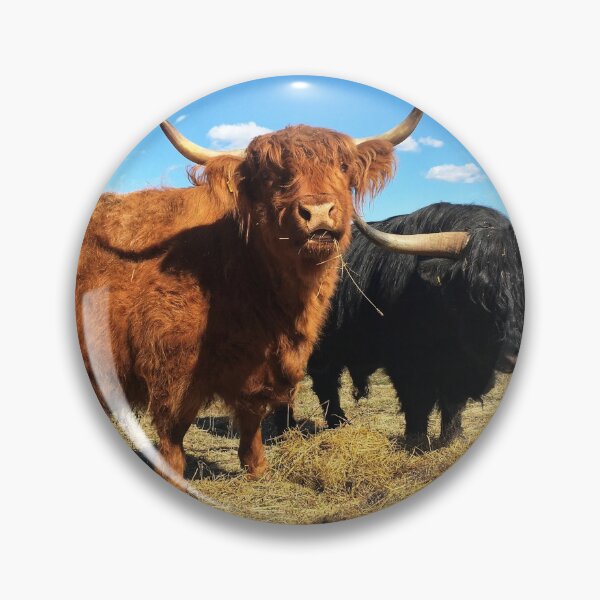 Item preview, Scottish Highland Cattle Cow and Bull 2370 designed and sold by SaarelaHighland.
