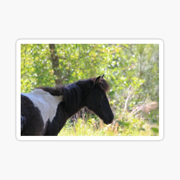 Item preview, A Wild Horse of Assateague designed and sold by Alison Hindenlang.