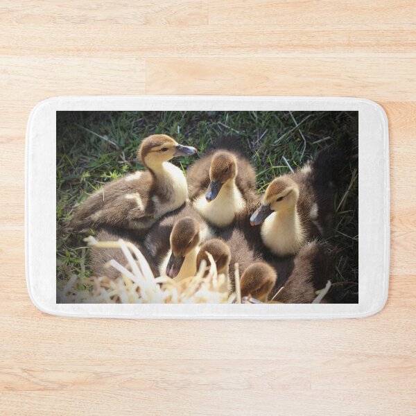 Item preview, Ducklings designed and sold by Cynthia48.