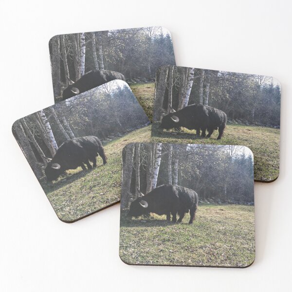 Item preview, Scottish Highland Cattle Bull 2371 designed and sold by SaarelaHighland.