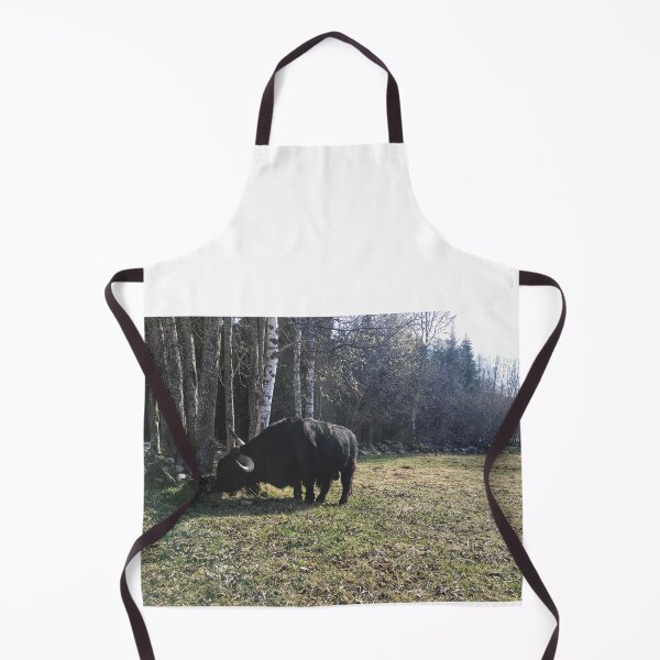 Item preview, Scottish Highland Cattle Bull 2371 designed and sold by SaarelaHighland.