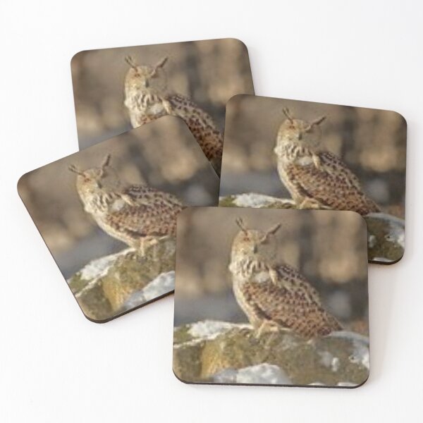Item preview, Nice owl.  designed and sold by Lan thi Nguyen.