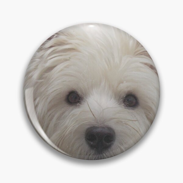 Item preview, Westie  White designed and sold by MarianBendeth.
