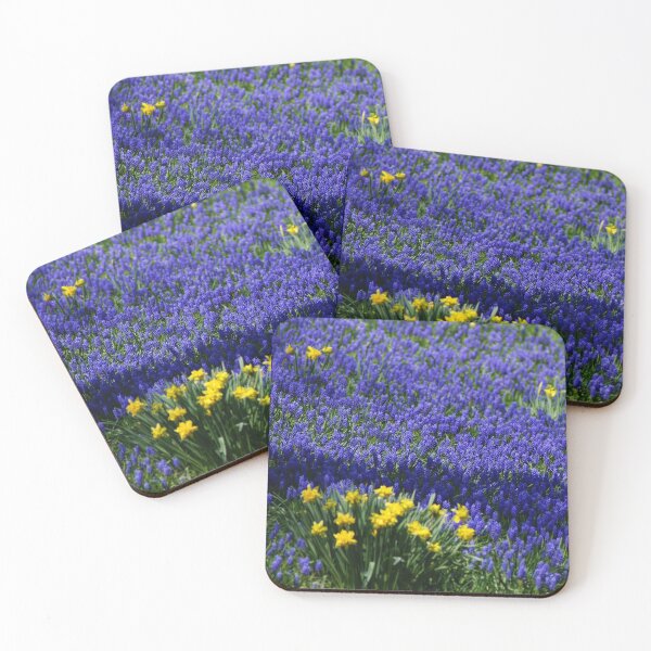Item preview, Grape Hyacinth and Daffodils  designed and sold by cherylorraine.