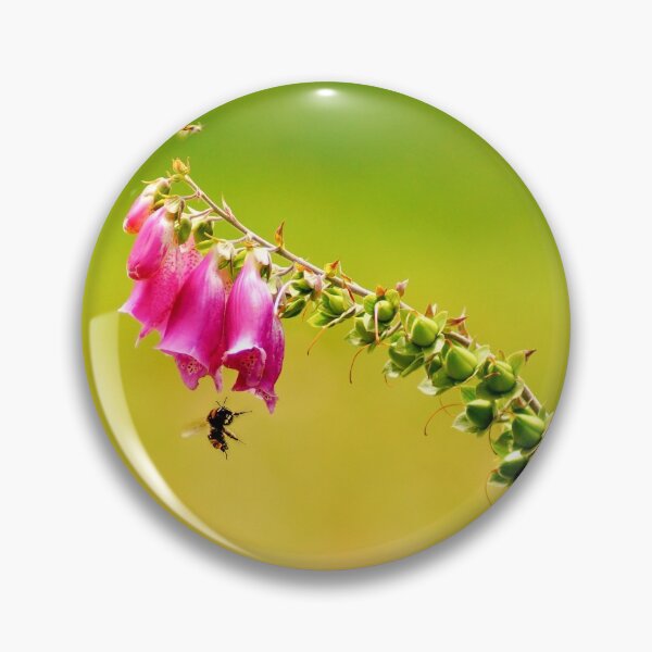 Item preview, 122515 honey and pea designed and sold by pcfyi.