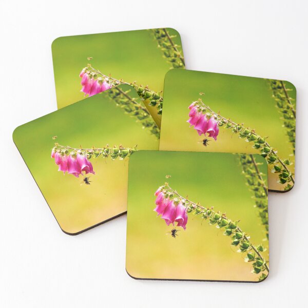 Item preview, 122515 honey and pea designed and sold by pcfyi.