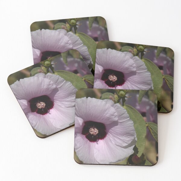 Item preview, Sturt Desert Rose designed and sold by SACRED NATURE DESIGNS.