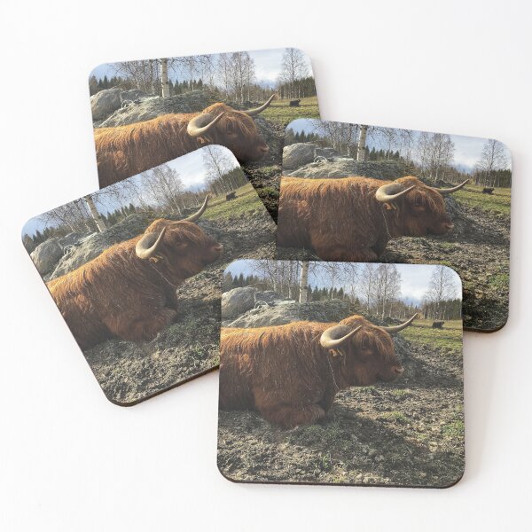 Item preview, Scottish Highland Cattle Bull 2384 designed and sold by SaarelaHighland.