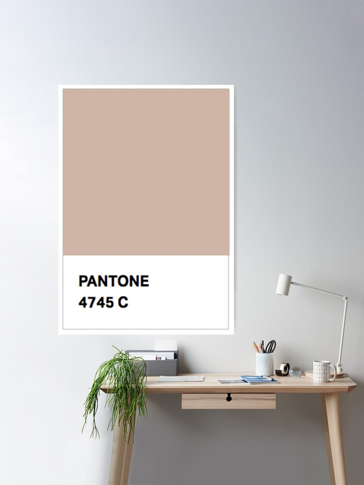 Pantone brown beige | Poster