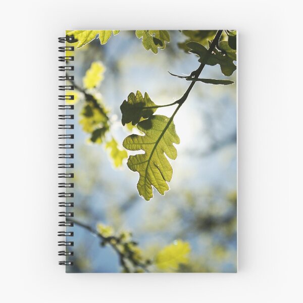 Item preview, Highlighted Leaf designed and sold by rwhitney22.