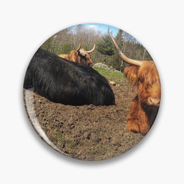 Item preview, Scottish Highland Cattle Bull and Cow 2388 designed and sold by SaarelaHighland.