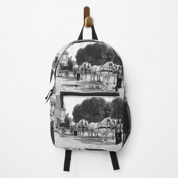 Item preview, r2730/ 13 Nostalgie " Le Haras du Pin " Finition 2021 " Caléche en Parade (n&b)(t) Olavia-Olao Okaio Créations designed and sold by o.okaïo.