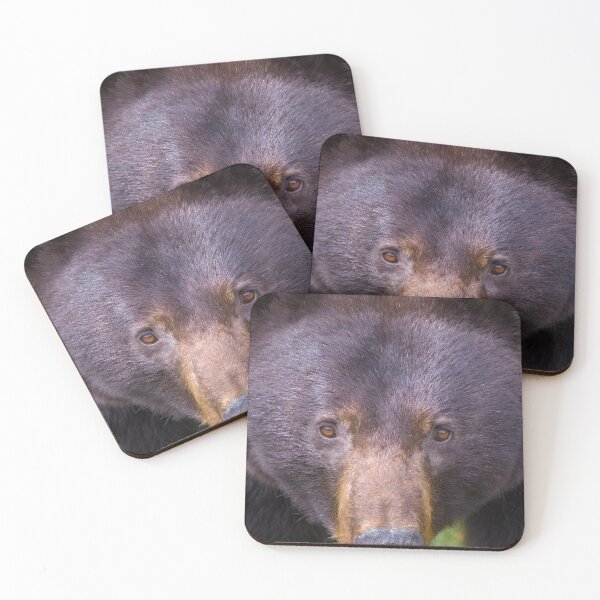 Item preview, Big Boy Cinnamon Bear designed and sold by Dale Adams.