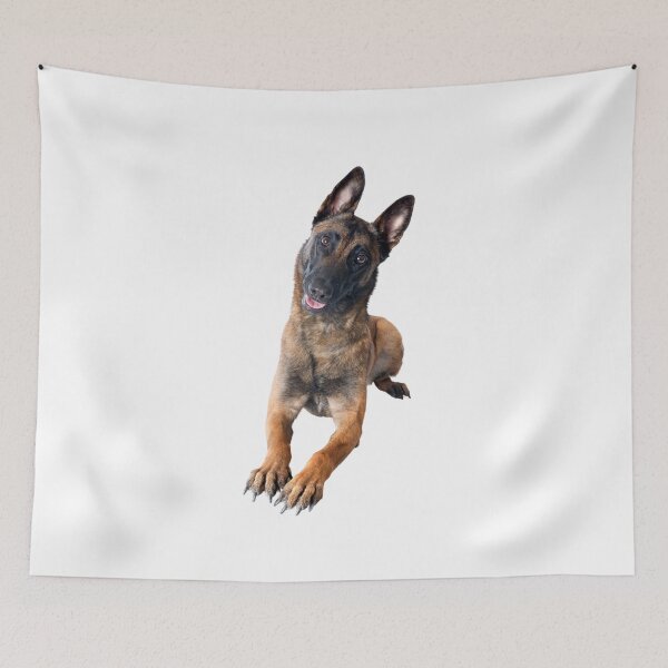 Artikelvorschau, belgischer Schäferhund Malinois entworfen und verkauft von Original1977.