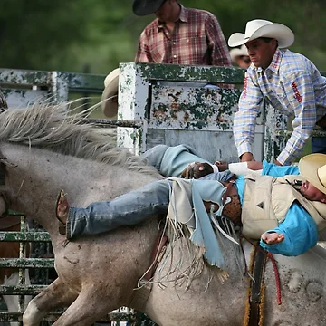 Artwork thumbnail, Bareback Bronc Exploding by Rodeo-Photos