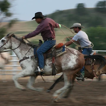 Vorschaubild zum Design Team Roping Action Shot von Rodeo-Photos